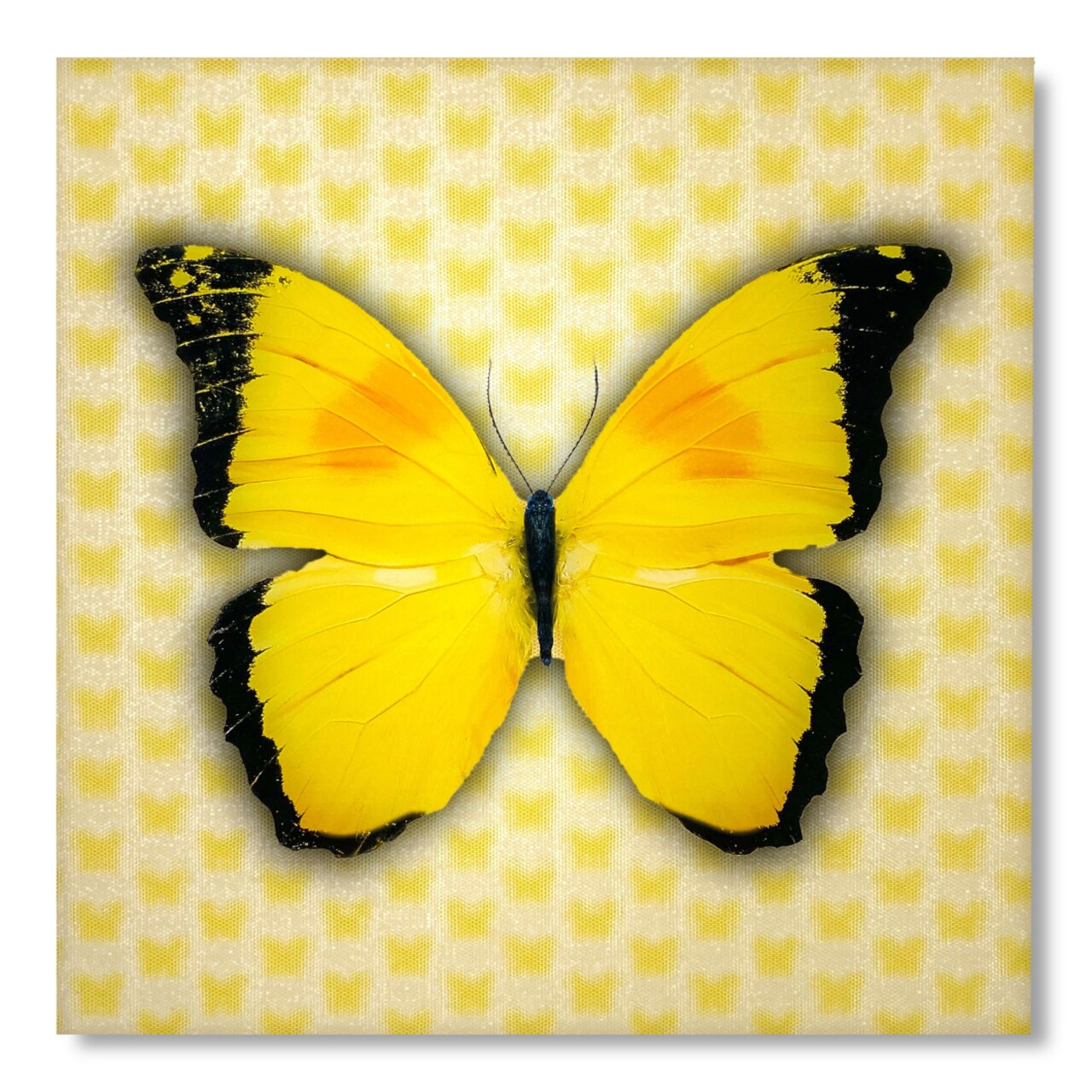 5D Multi-Dimensional Yellow Butterfly Wall Art Print On Strong Polycarbonate Panel - Immersive Lenticular Artwork By